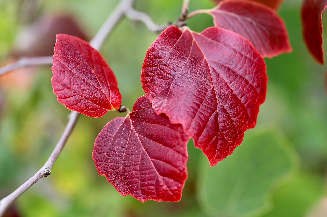 レディースウィッグの付け方を初心者が簡単にマスターするには？