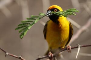 レディースウィッグの口コミで知る人気ブランドは？