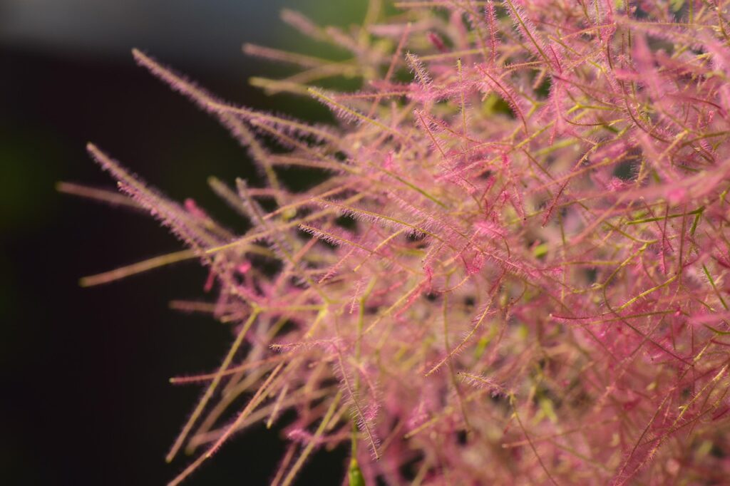 薄毛ウィッグの口コミで選ぶ最適なアイテムは？