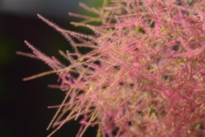 薄毛ウィッグの口コミで選ぶ最適なアイテムは？