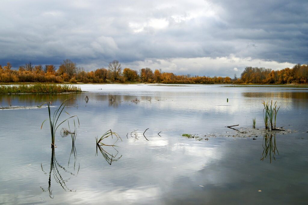 OBを減らすための効果的なコツは？