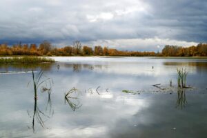 OBを減らすための効果的なコツは？