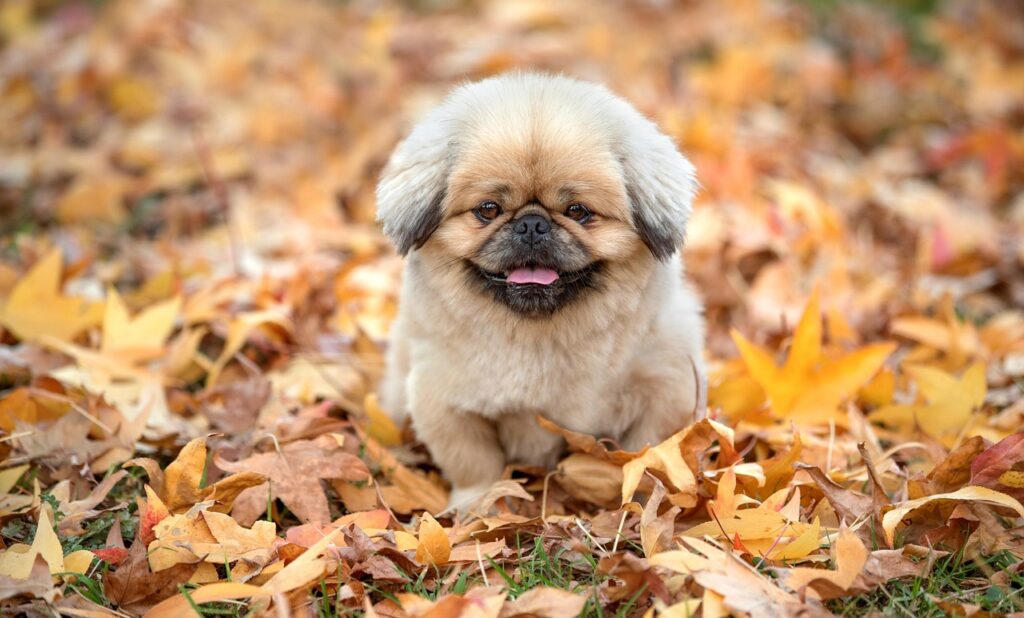 アイアンが当たらない原因とその改善方法は？