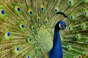 バンカーでの目玉脱出方法とは？